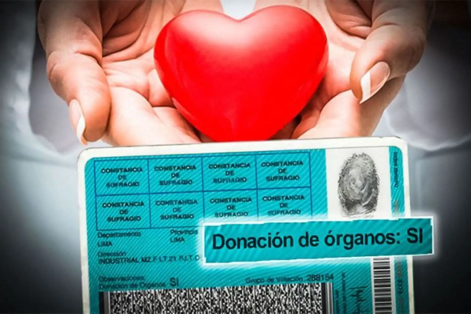 Donantes voluntarios de órganos podrán renovar su DNI gratuitamente. Foto: Difusión