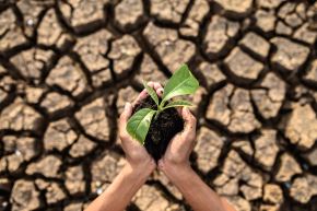 El cambio climático es, en la actualidad, uno de los principales desafíos para la humanidad (imagen referencial). Foto: ANDINA/Difusión