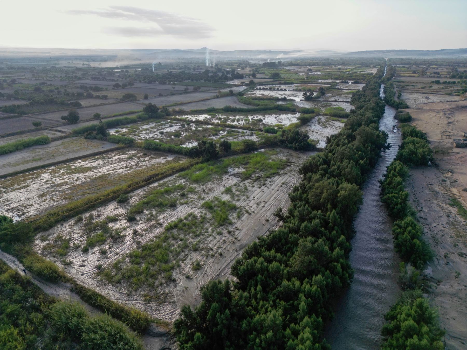 Cuantiosos daños materiales y pérdidas de cultivos causó el desborde del río Ica en el distrito de Ocucaje. Foto: Genry Bautista