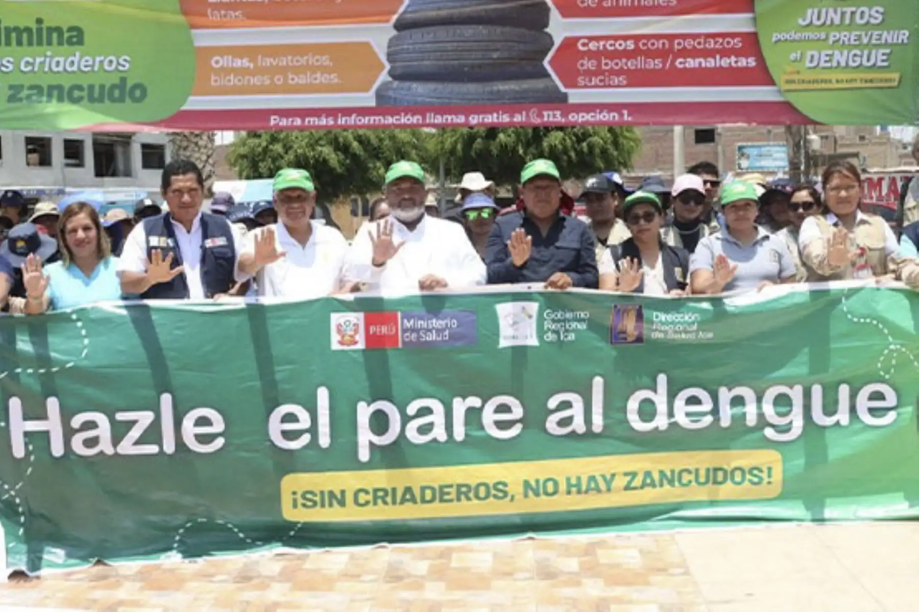El dengue es una enfermedad viral, que se transmite por el zancudo "Aedes aegypti". El Minsa ejecuta acciones preventivas en todo el país. Foto: ANDINA/Difusión