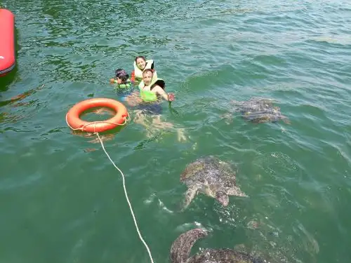 La propuesta de la Reserva Nacional Mar Tropical Grau incluye un área de gran riqueza biológica marina con una diversidad de especies que se ubica en el mar de las regiones Tumbes y Piura. ANDINA/Difusión