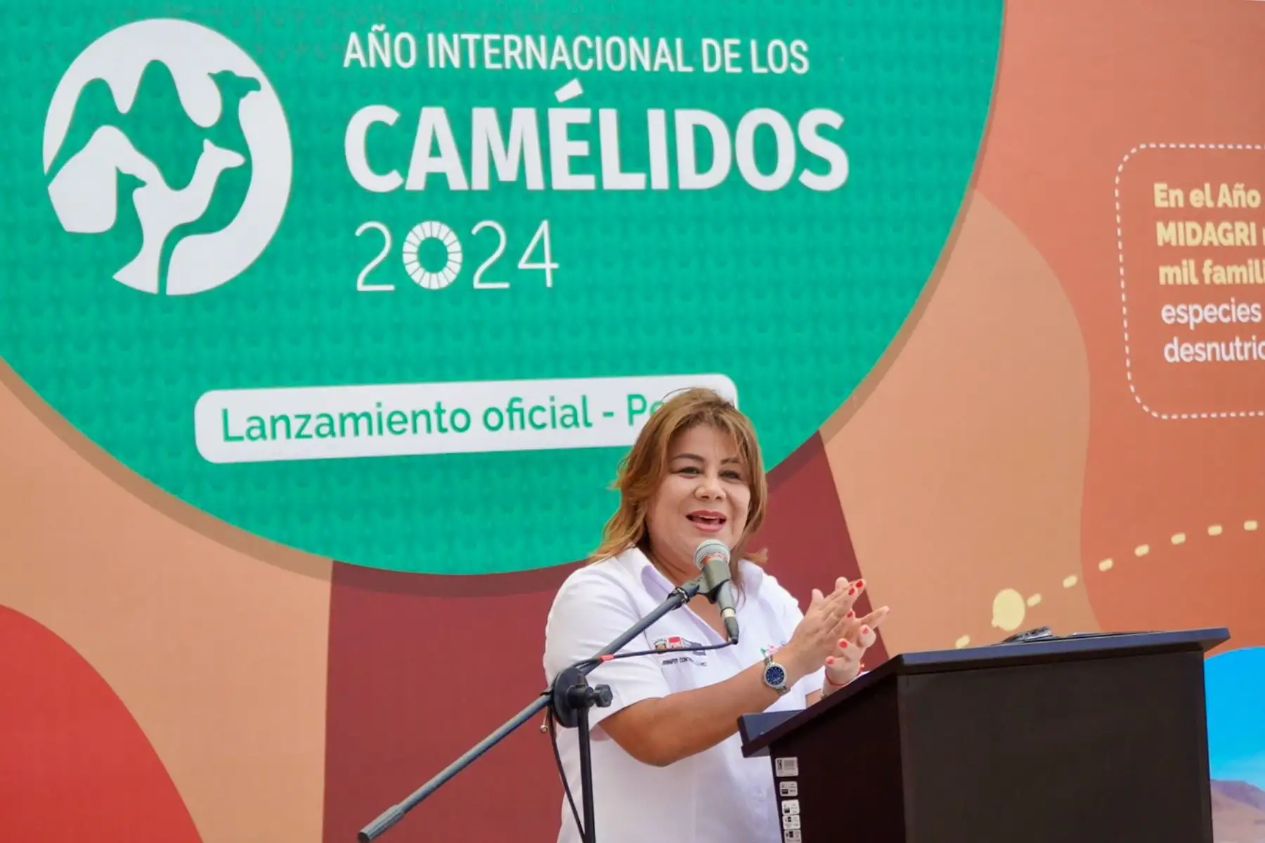 La ministra de Desarrollo Agrario y Riego, Jennifer Contreras, anunció hoy oficialmente el “Año Internacional de los Camélidos”, destacando la importancia de la crianza, producción, conservación y comercialización de esta especie y sus derivados para la sostenibilidad económica del país y la protección de la biodiversidad genética. 
Foto: ANDINA/MIDAGRI