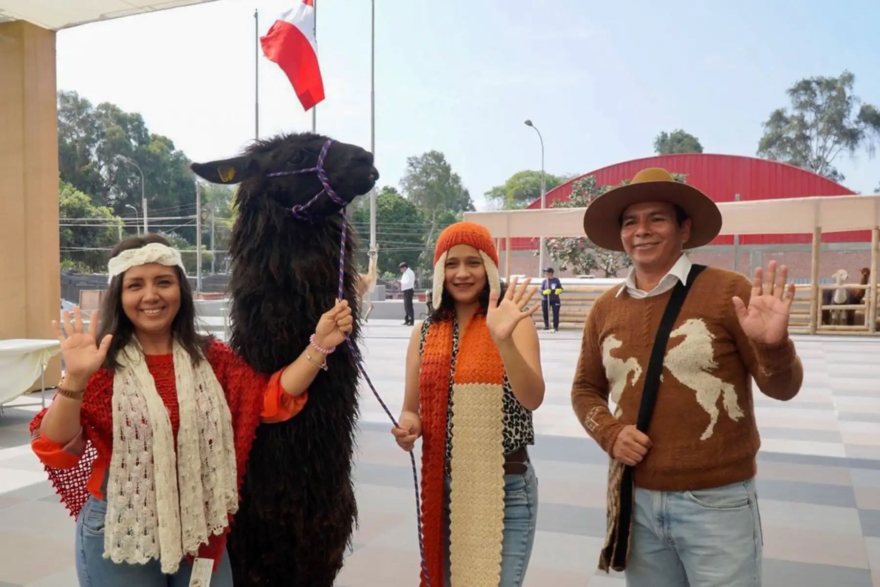 En la actividad participaron diversas autoridades del sector, el gobernador regional de Pasco, representantes de la FAO, entre otros. Asimismo, se realizó una exhibición de ejemplares de llamas y alpacas, una zona de la ruta de la fibra a cargo de artesanas de Puno, Cusco, Pasco y Huancavelica
Foto: ANDINA/MIDAGRI