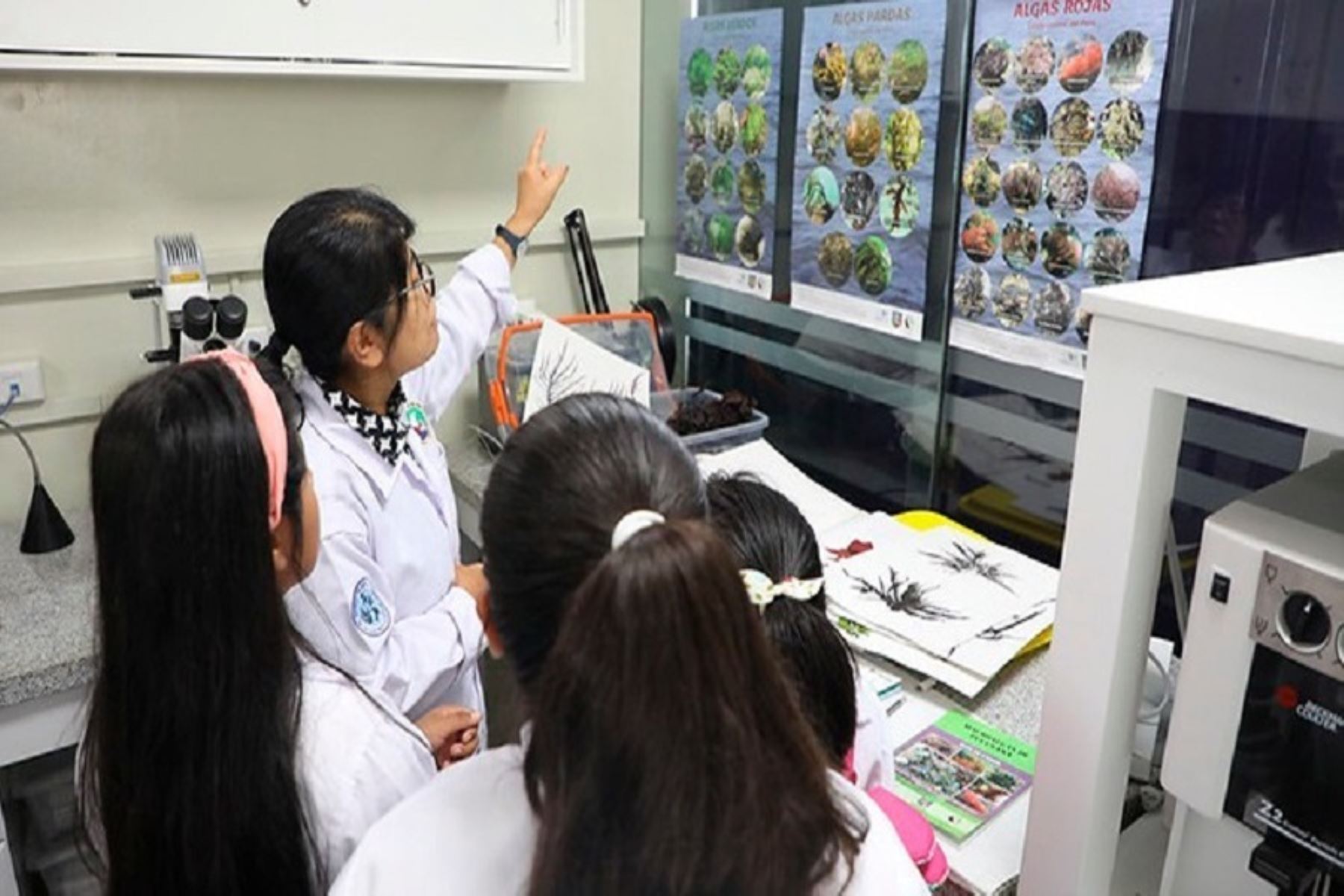 En el marco del “Día Internacional de la Mujer y la Niña en la Ciencia”, el Ministerio de la Producción (Produce) inició la convocatoria al taller vivencial «Por un mar de científicas». Cortesia Produce