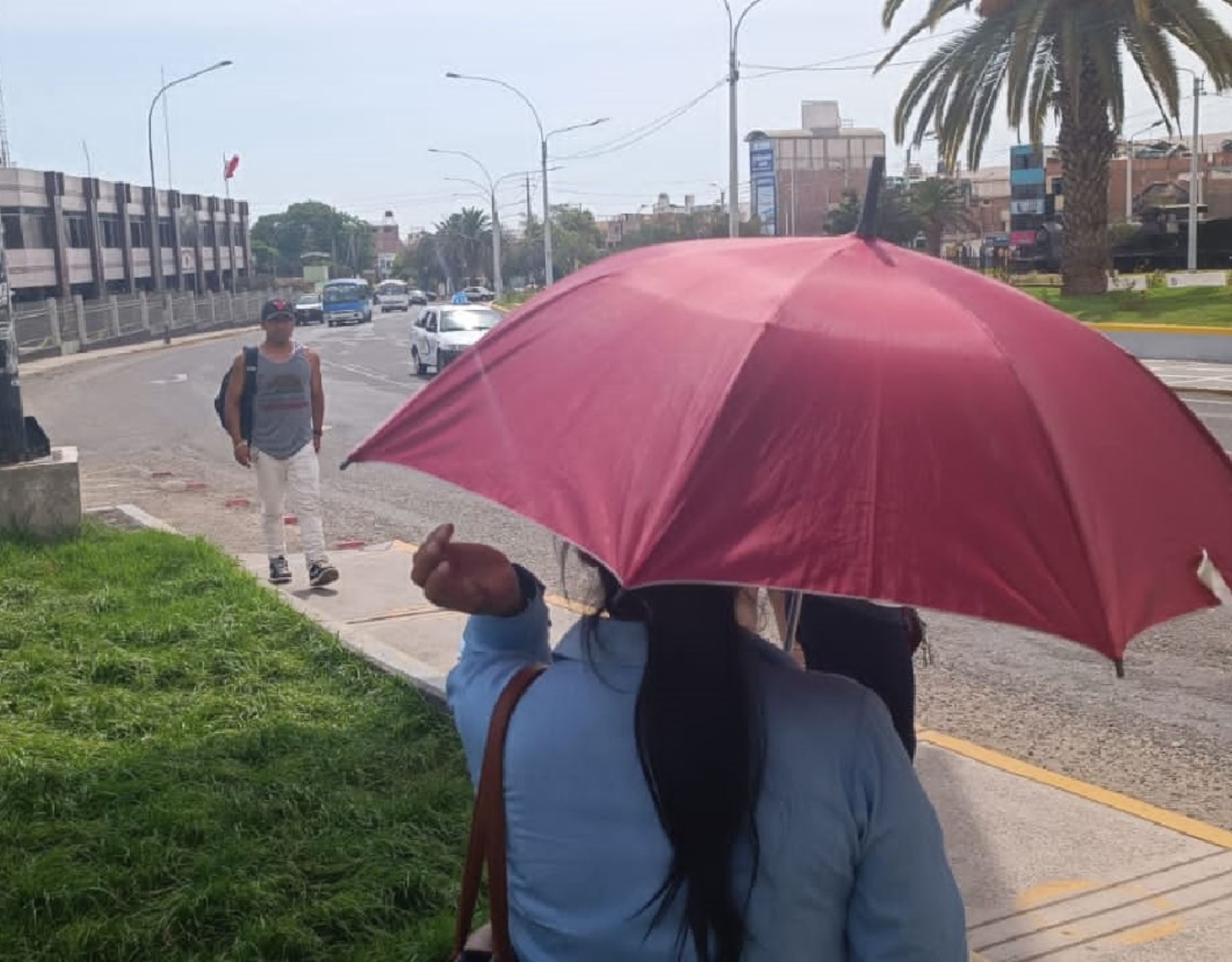 Tacna continuará soportando una ola de calor y registrará temperaturas de hasta 33°C y una sensación térmica de más de 35°C, advirtió el Senamhi. ANDINA/Difusión