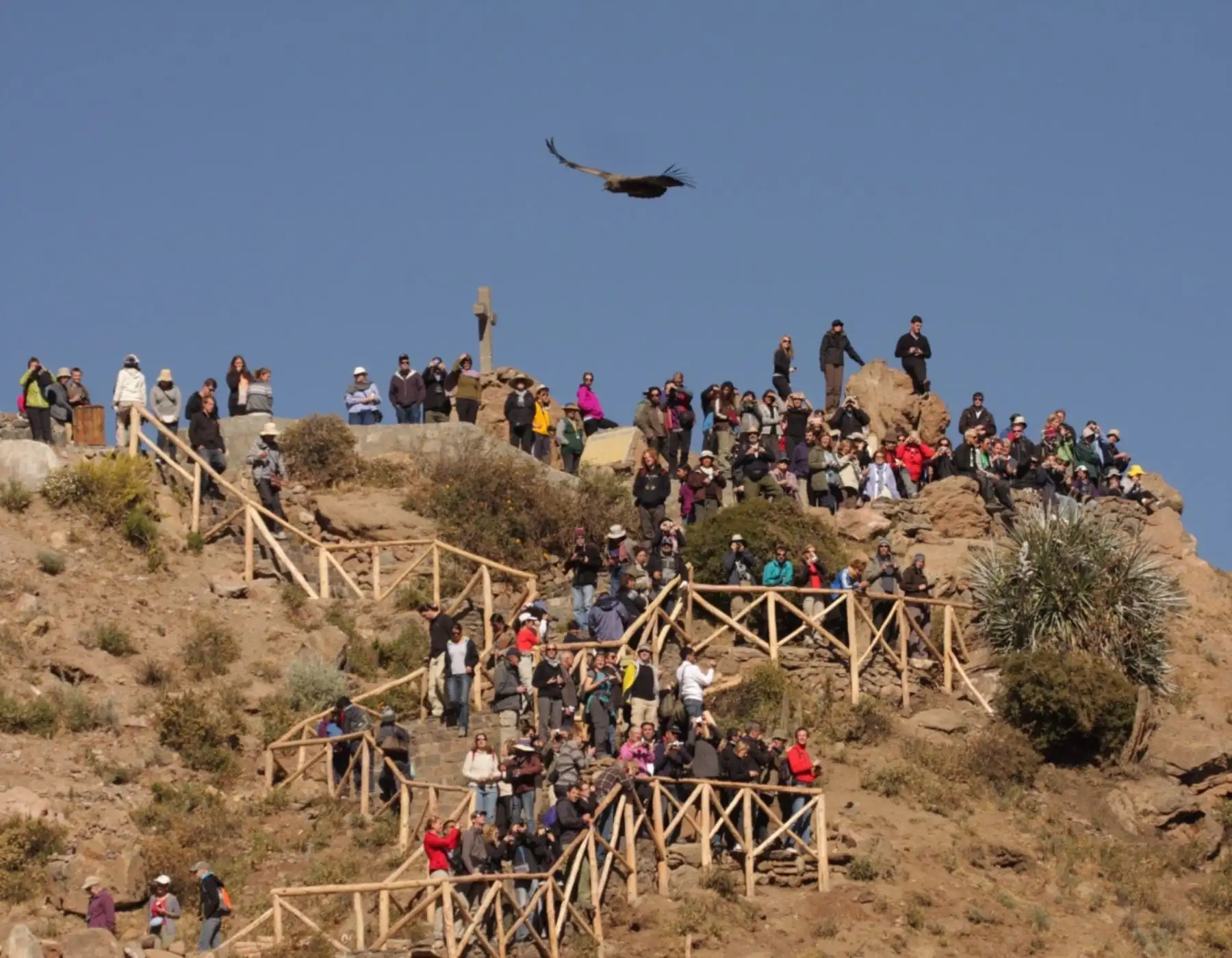 El turismo en el Valle del Colca se recupera rápidamente y en enero de este año recibió más de 20,000 visitantes, el triple de lo registrado en enero del año pasado. ANDINA/Difusión
