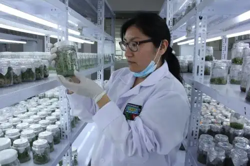 El Programa Nacional de Investigación Científica y Estudios Avanzados (Prociencia) lanzó el concurso “Proyectos de Investigación, desarrollo e innovación- I+D+i con la participación internacional del Centro para el Desarrollo Tecnológico y la Innovación, E.P.E. (CDTI E.P.E.) de España, CDTI España 2024” Foto: Prociencia