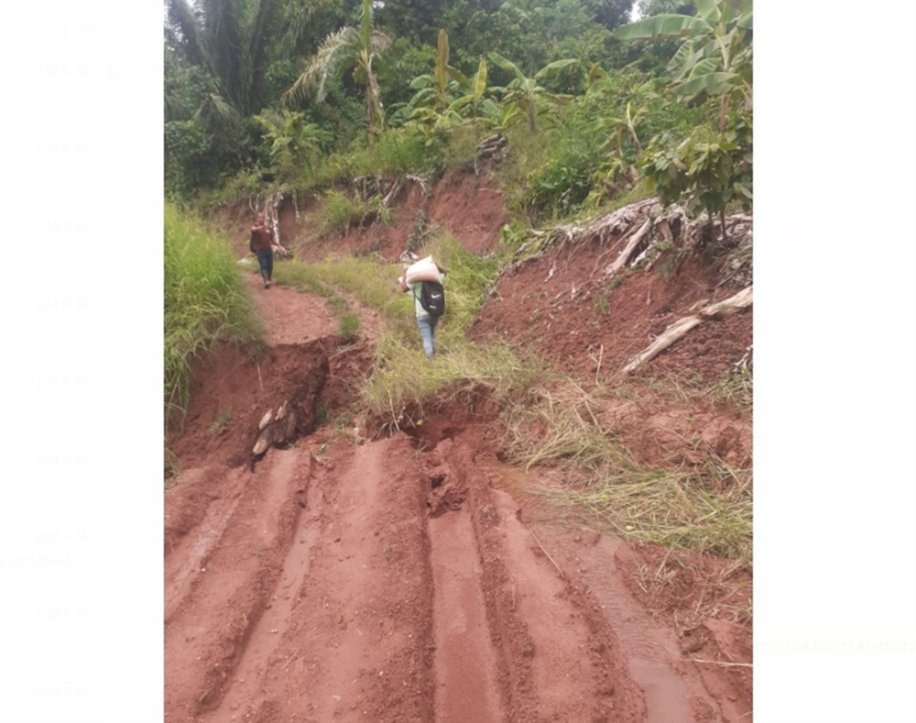 Provías Nacional atenderá tramos afectados por lluvias intensas en la provincia de Satipo, región Junín. ANDINA/Difusión