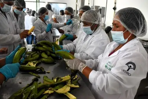 Durante 2023, diversos emprendimientos de comunidades indígenas amazónicas recibieron capacitación gracias a la Alianza por la Amazonía. Foto: CEDRO/Difusión.