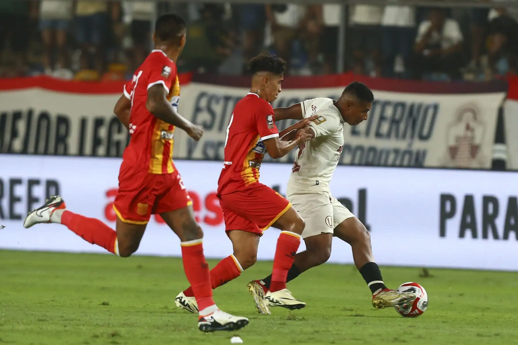 Universitario de Deportes se enfrenta al club Atlético Grau por la fecha 2 de la Liga 1 Apertura  en el estadio Monumental de Ate. 

Foto: ANDINA/Eddy Ramos