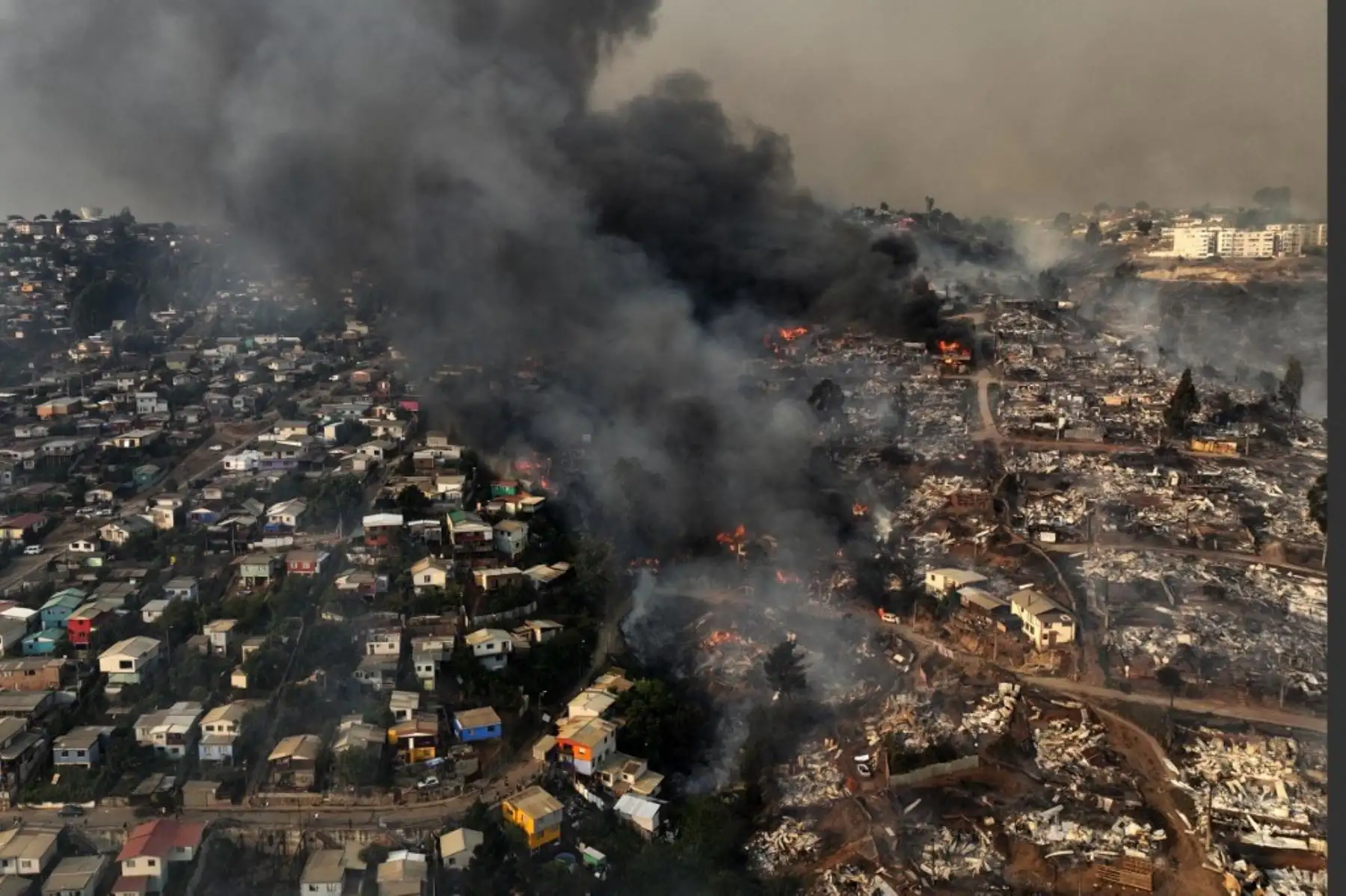 El Olivar se transformó en un "infierno". El viento sopló el fuego desde los cerros hacia el poblado, comenzaron entonces las explosiones de autos y a arder las viviendas, según sobrevivientes de los incendios forestales en Viña del Mar, en el centro de Chile. Foto: AFP