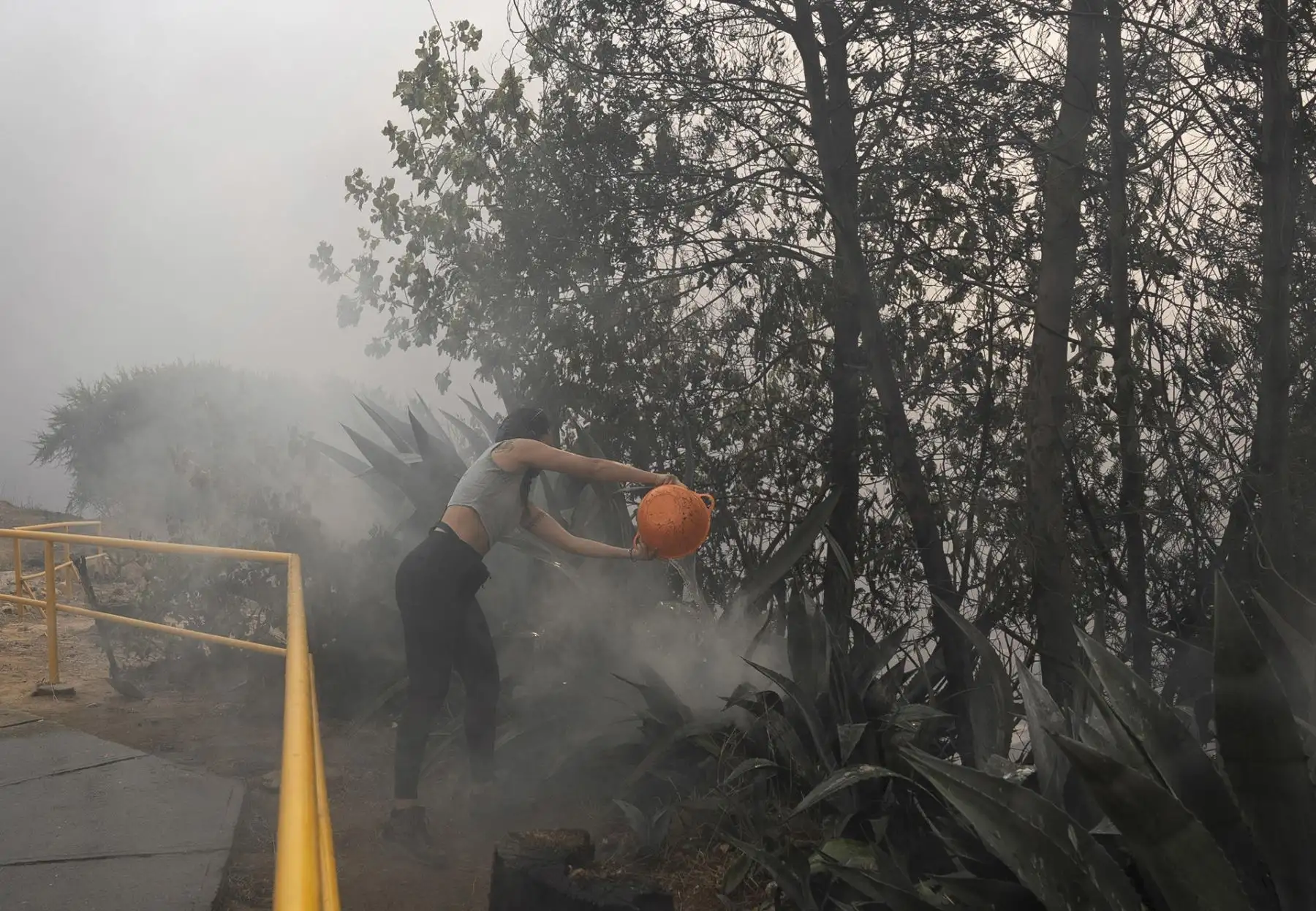 Una joven ayuda a extinguir un fuego de los incendios forestales que afectan la zona de Canal Beagle, Viña del Mar, Región de Valparaiso (Chile). Los incendios en la región central de Valparaíso han causado por lo menos 19 muertos, según reportes oficiales. 
Foto: EFE