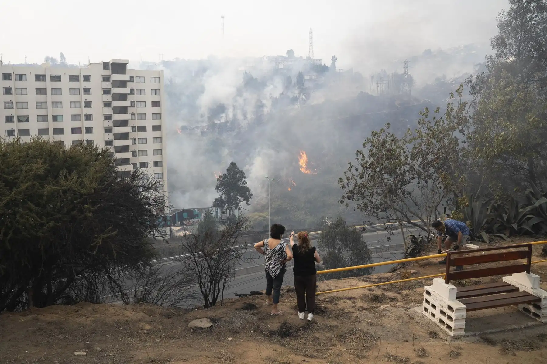 Personas observan los incendios forestales que afectan la zona de Canal Beagle, Viña del Mar, Región de Valparaiso (Chile). Los incendios en la región central de Valparaíso han causado por lo menos 19 muertos, según reportes oficiales. 
Foto: EFE
