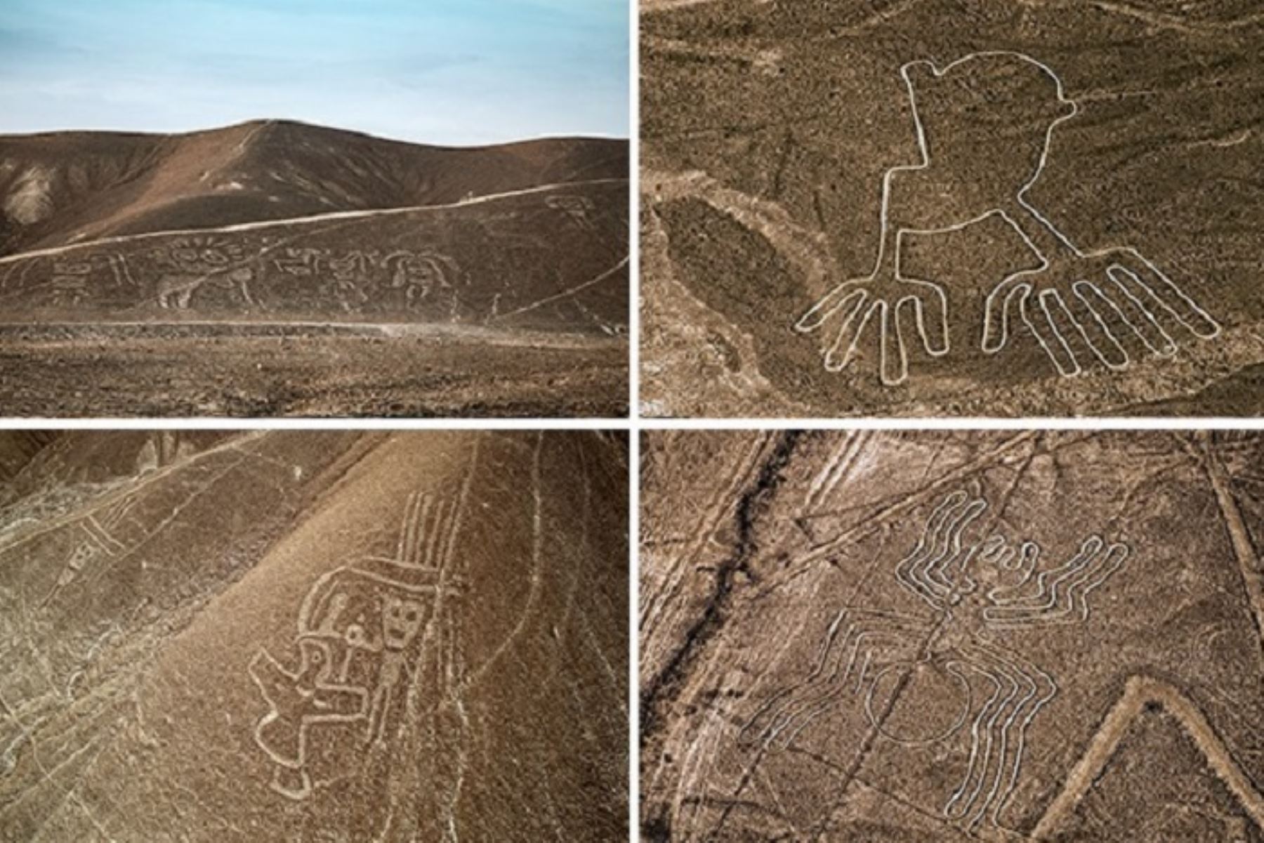 Moderna plataforma fue destacada por autoridades municipales de Nasca, Palpa y Vista Alegre.