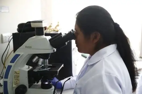 La la Ley N° 32078  declara el 2 de julio de cada año como el Día del Inventor y del Científico Peruano.
