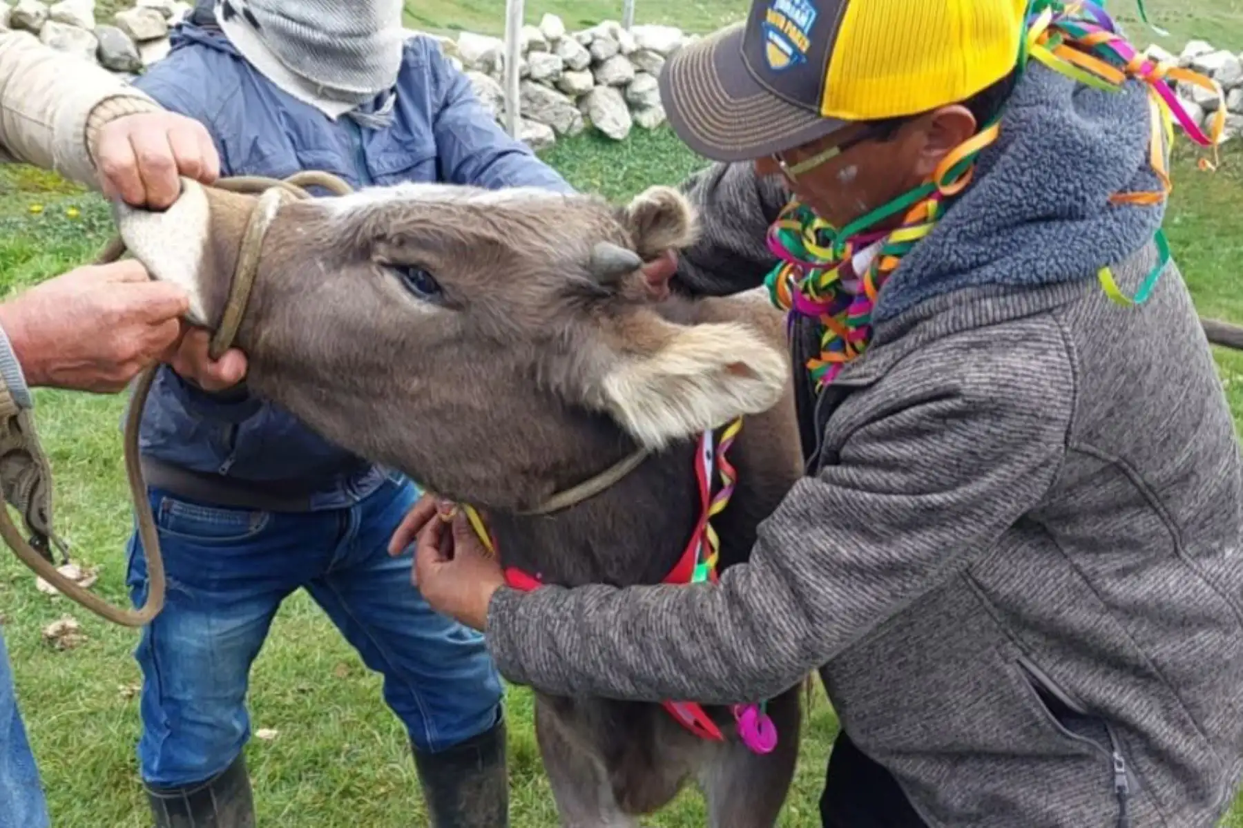 Huancayo. En el distrito de Óndores en la provincia de Junín se realizó la Octava Herranza Samblacina como parte de los carnavales del presente año, la fiesta se vivió con desbordante algarabía y colorido. Foto: Difusión