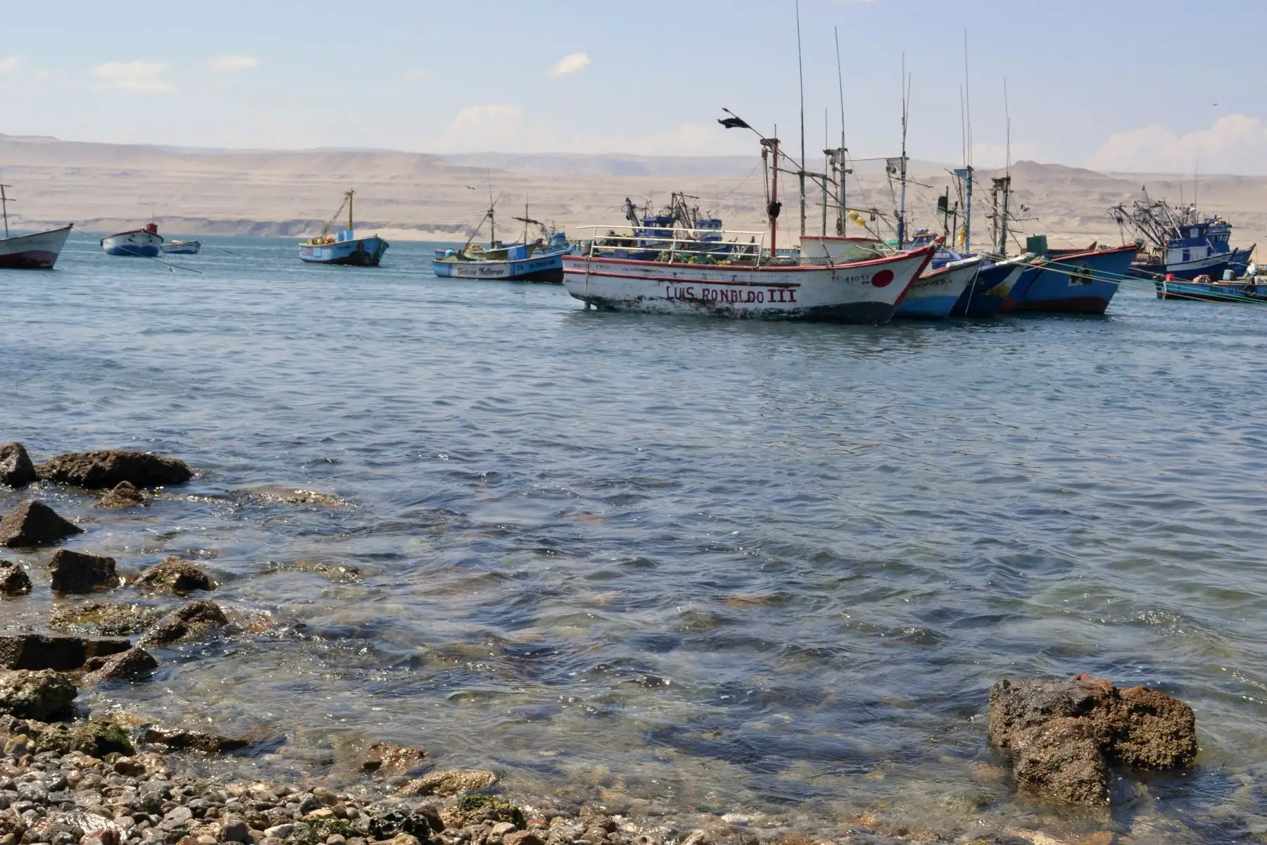 Conozcan Marcona en su XXIV Semana Turística, visiten sus principales atractivos turísticos, practiquen el ecoturismo apreciando la fauna y flora marino-costera y sus lugares colmados de belleza paisajística.
Foto: ANDINA/Genry Bautista