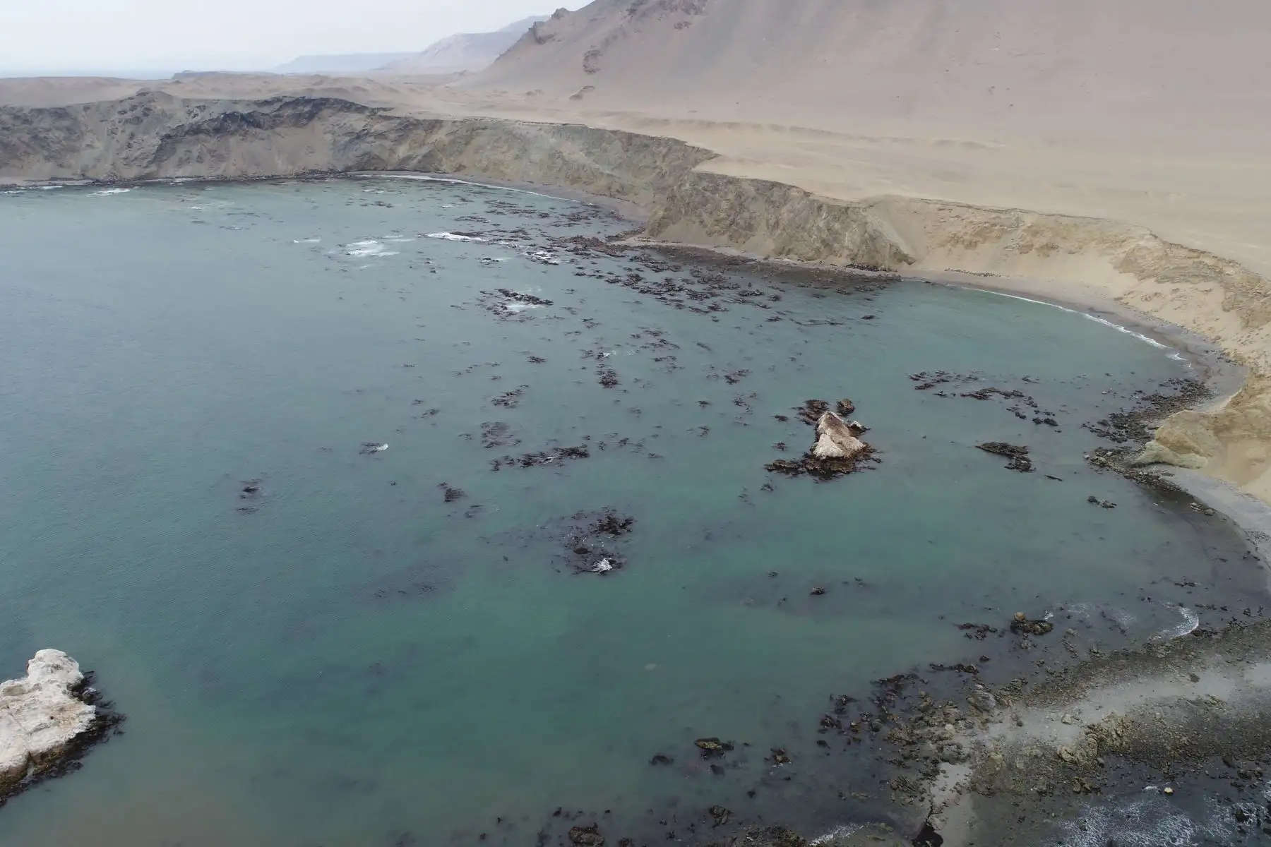 El visitante que llegue a Marcona por su semana turística va a descubrir la belleza natural de sus playas y saborear la deliciosa gastronomía de este mágico destino.
Foto: ANDINA/Genry Bautista