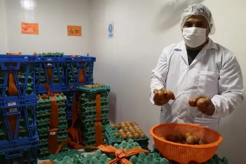 Qali Warma capacitará a comités de alimentación escolar acerca del aporte nutricional del huevo en la alimentación saludable de escolares. Foto: Qali Warma