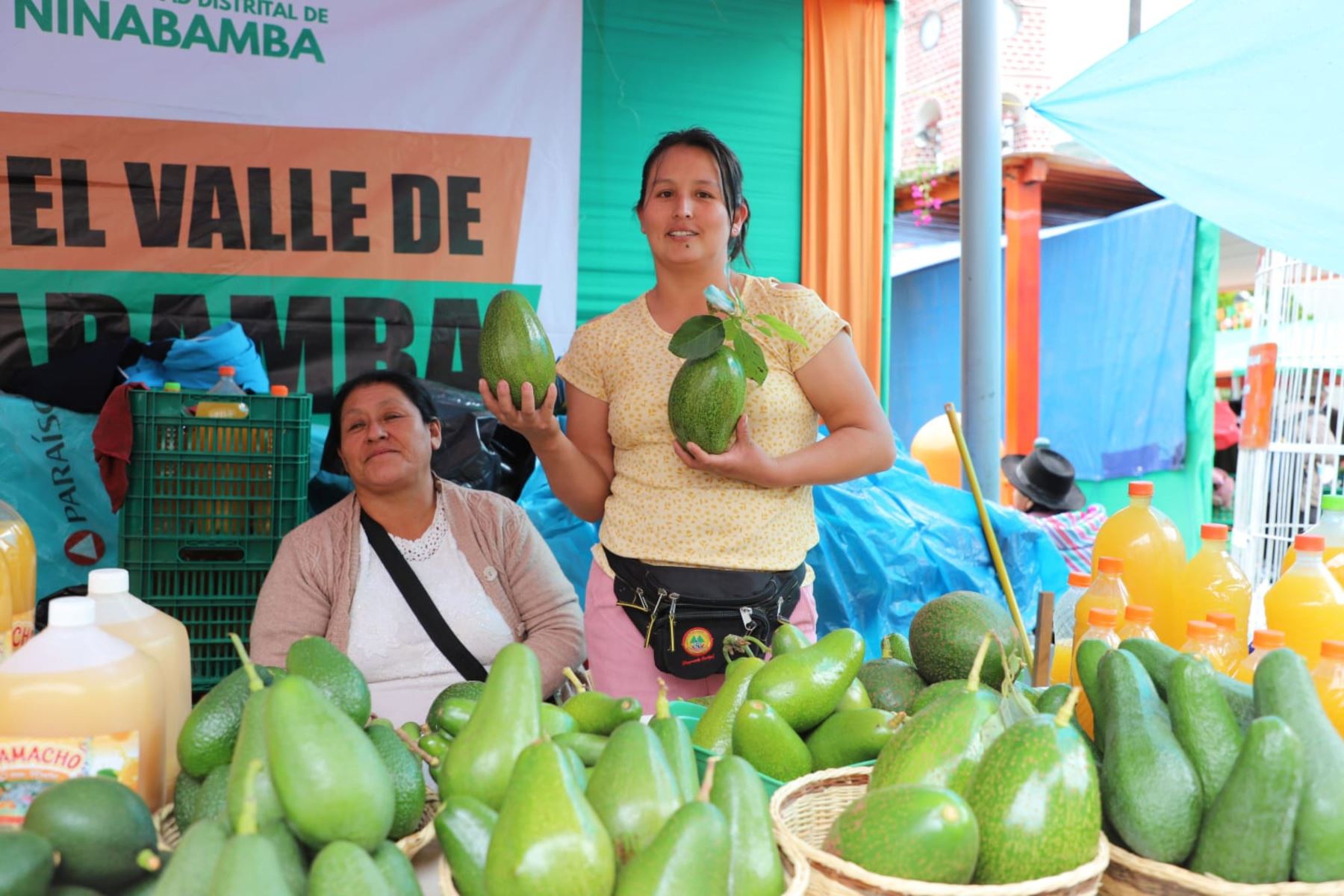 Senasa asesora a productores de palta para potenciar la campaña de exportación de fruto. ANDINA/Difusión