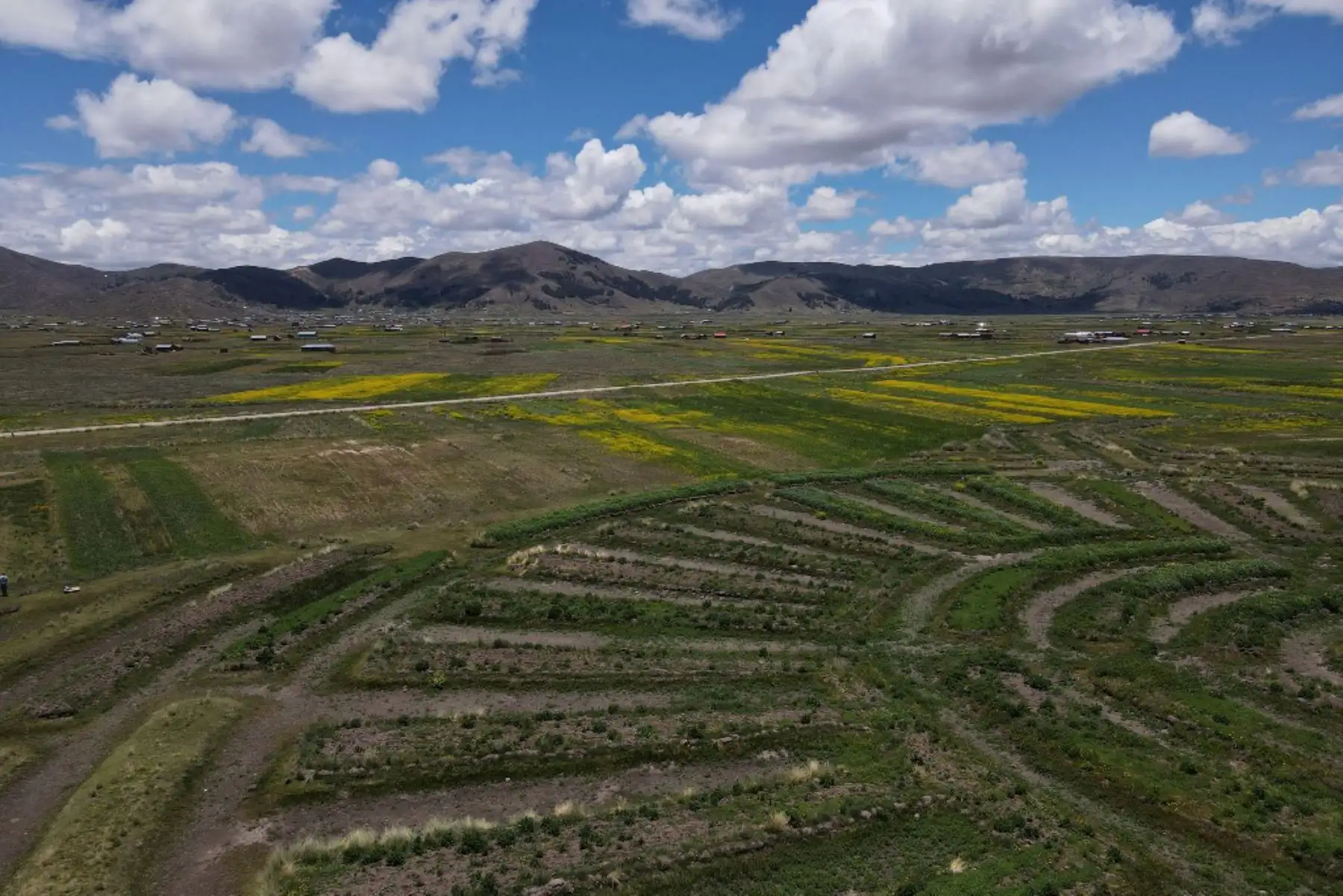Vista aérea revela geoglifos fabricados por la comunidad de Caritamaya siguiendo un sistema agrícola ancestral llamado Suka Q