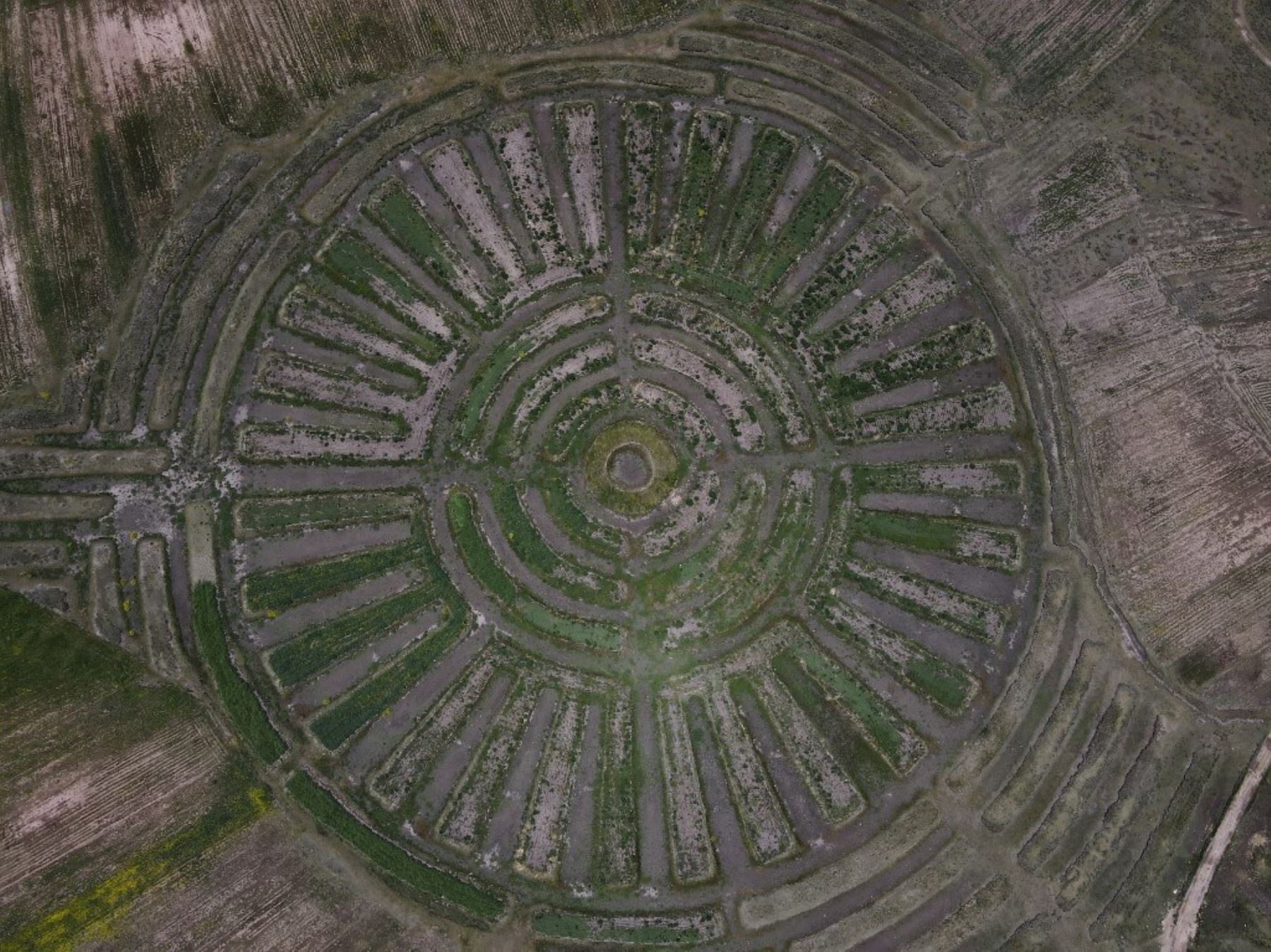 Desde el aire parecen geoglifos en forma de círculo, pero en realidad se trata de un Waru Waru, una ancestral técnica agrícola andina que ayuda a combatir la crisis climática. AFP
