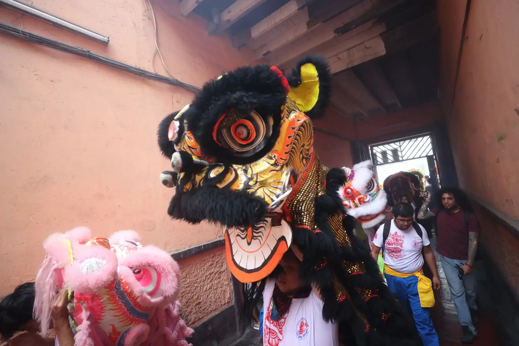 Una hora después los danzantes del dragón, que se caracterizan por ofrecer bailes con una destreza que sorprende, comienzan a recorrer los negocios ubicados en la calle Capón y zonas aledañas para comer la lechuga (símbolo de prosperidad), expuesta en las puertas de cada establecimiento. Una especie de pago a la tierra de los chinos para que en el año nuevo halla abundancia y el negocio prospere.  Foto: ANDINA/ Juan Carlos Guzmán