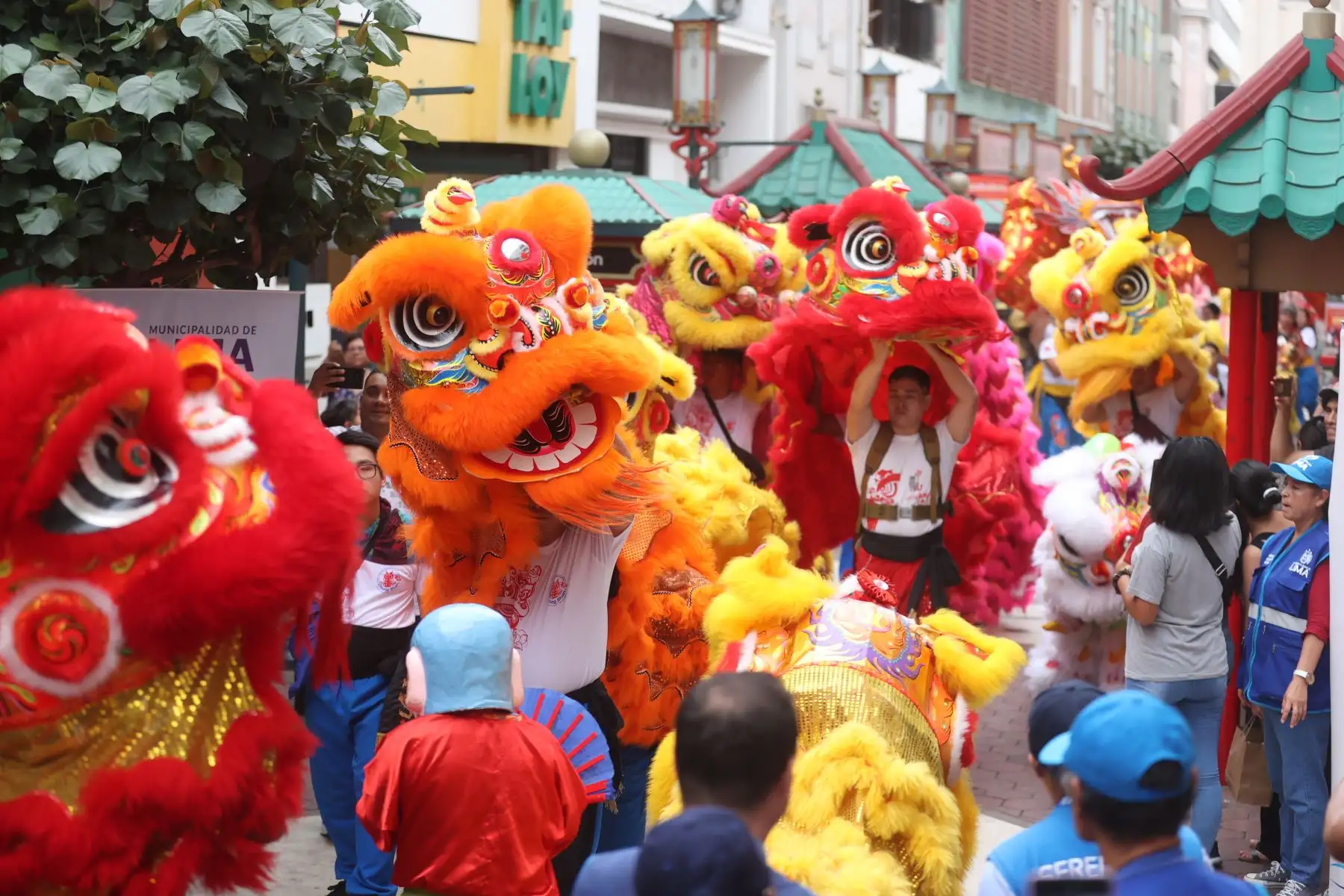 Un ambiente de fiesta se observa en las inmediaciones de la céntrica calle Capón, donde se ubica el tradicional Barrio chino en Lima, al celebrar el Año nuevo lunar y el inicio del año del Dragón, considerado, en el zodiaco del gigante asiático, un símbolo de poder, vitalidad y buena fortuna. Foto: ANDINA/ Juan Carlos Guzmán