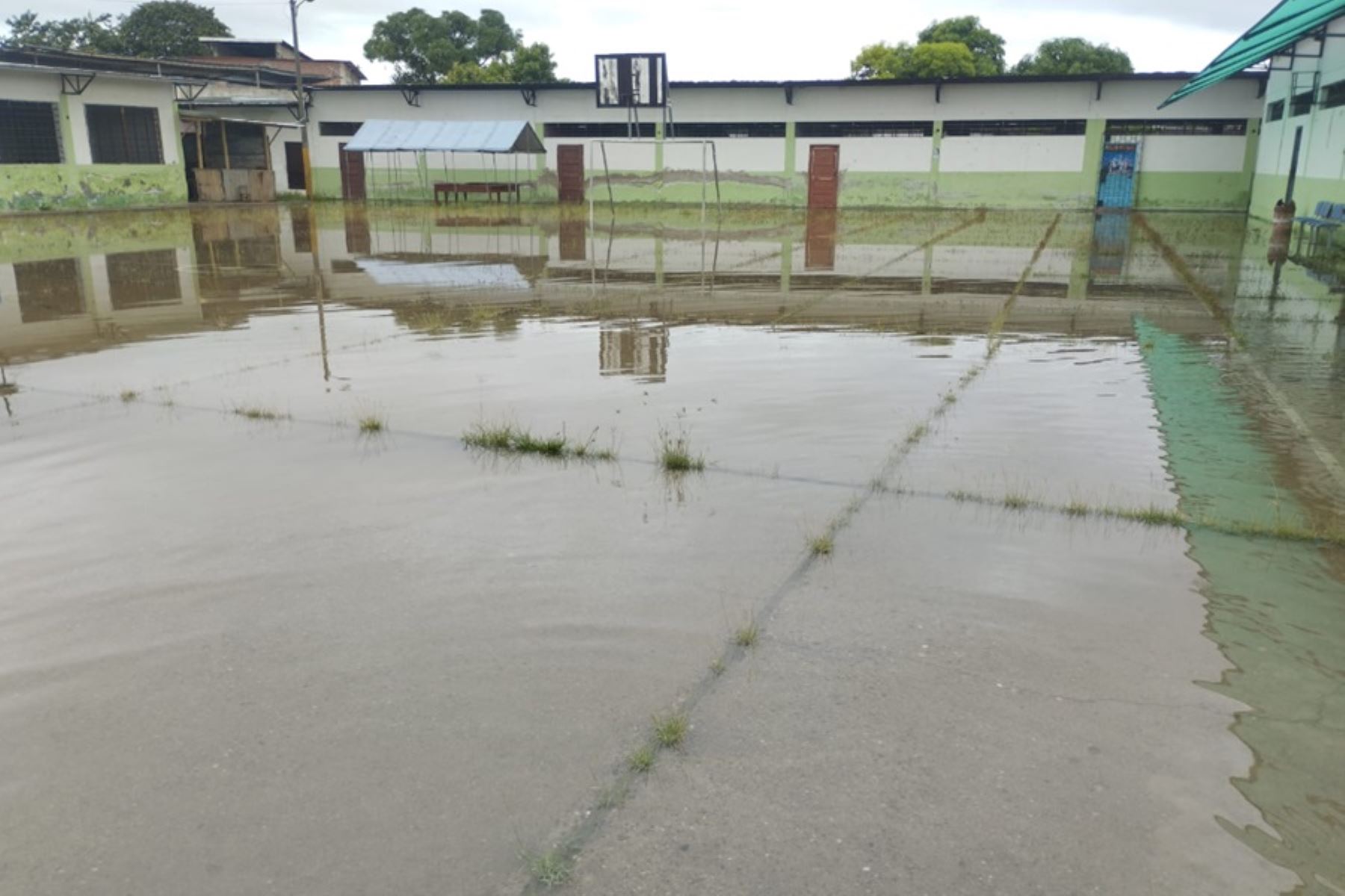 Un total de 523 viviendas y 773 personas resultaron afectadas por aniegos ocasionados por las lluvias intensas registradas durante dos días seguidos en las tres provincias del departamento de Tumbes, informó el Centro de Operaciones de Emergencia Regional.