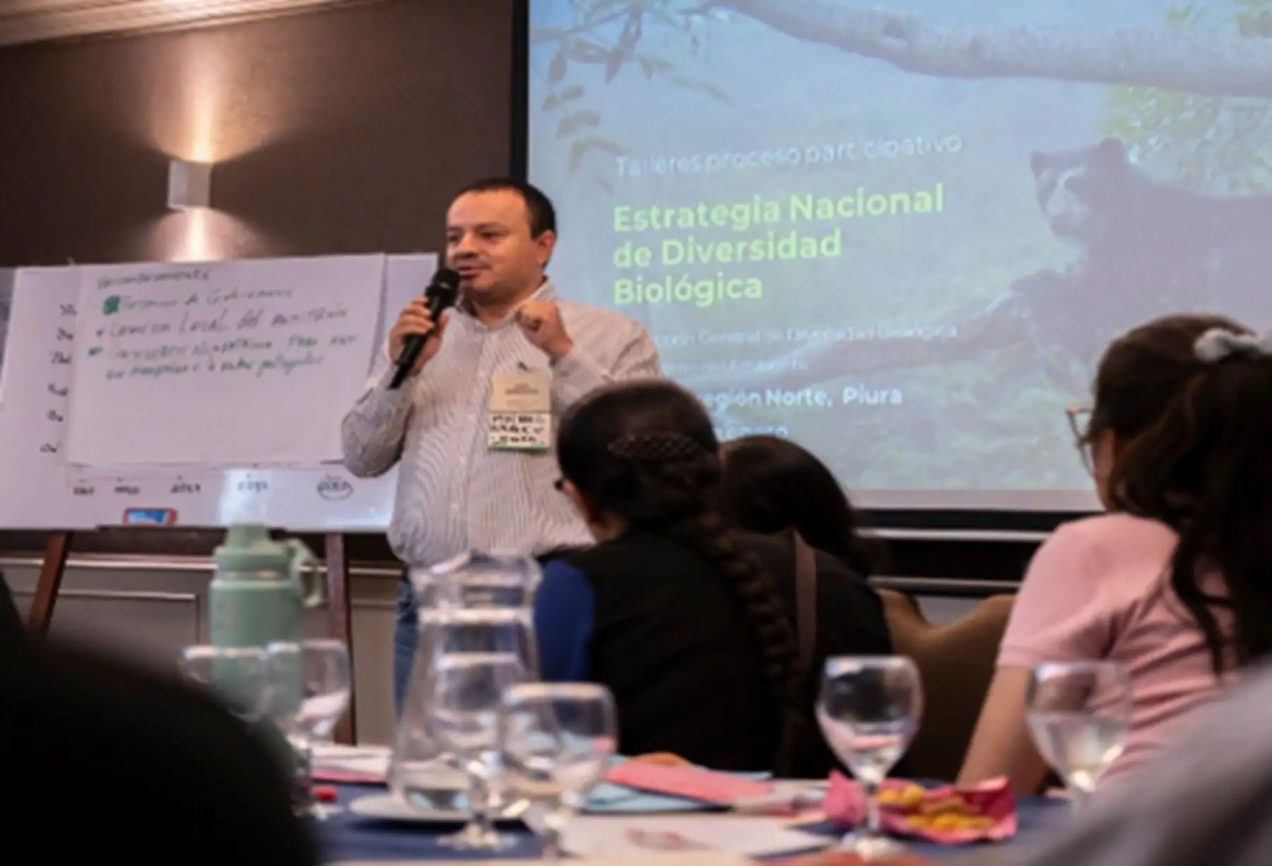 Un total de 385 representantes de entidades públicas, de organizaciones no gubernamentales, de la academia y de pueblos indígenas y originarios participaron en la primera ronda de talleres macrorregionales realizados por el Ministerio del Ambiente, como parte del proceso de actualización de la Estrategia Nacional de Diversidad Biológica