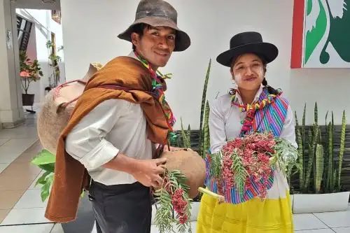ANDINA/Difusión