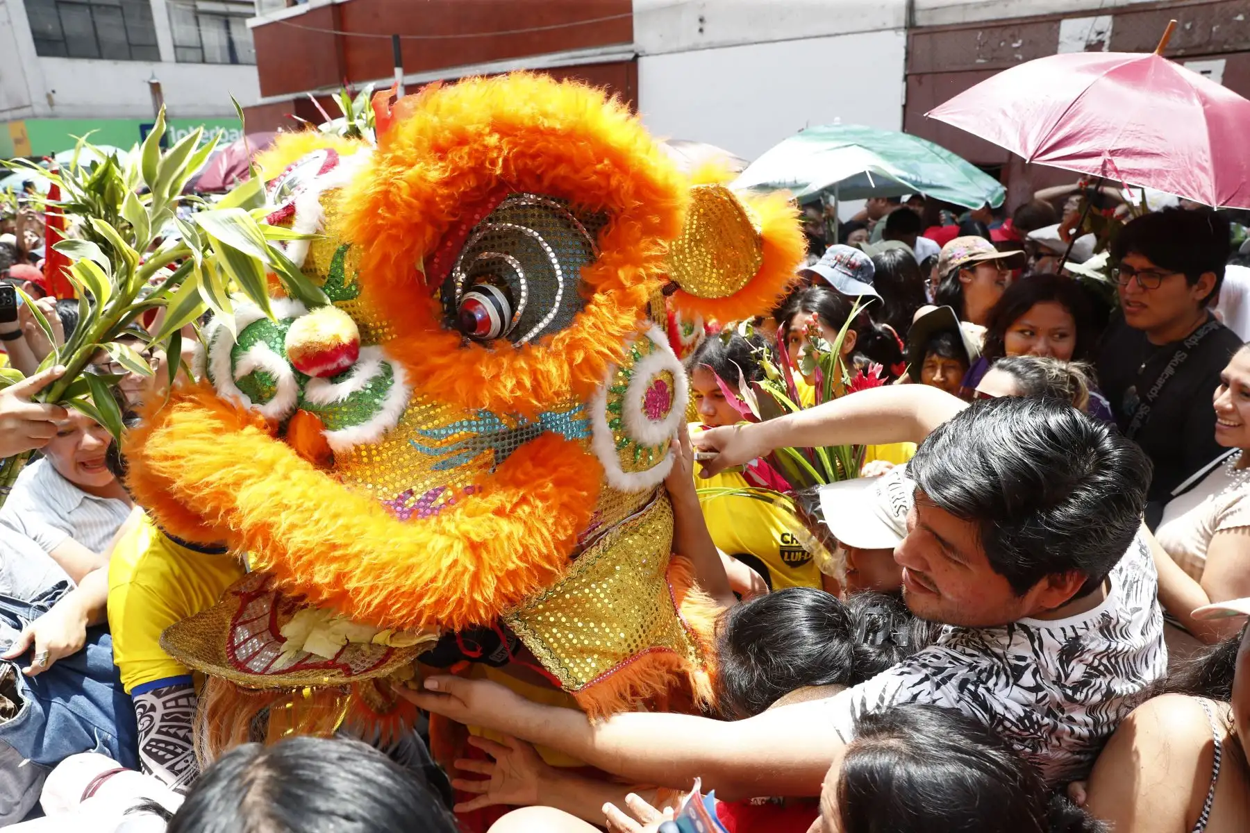 Cientos de personas se aglomeraron en el emblemático Barrio Chino, en el Cercado de Lima, para celebrar el inicio del Año Nuevo Chino, rindiendo homenaje a los tradicionales dragones, que salen a desfilar en esta festividad. Foto: ANDINA/Daniel Bracamonte