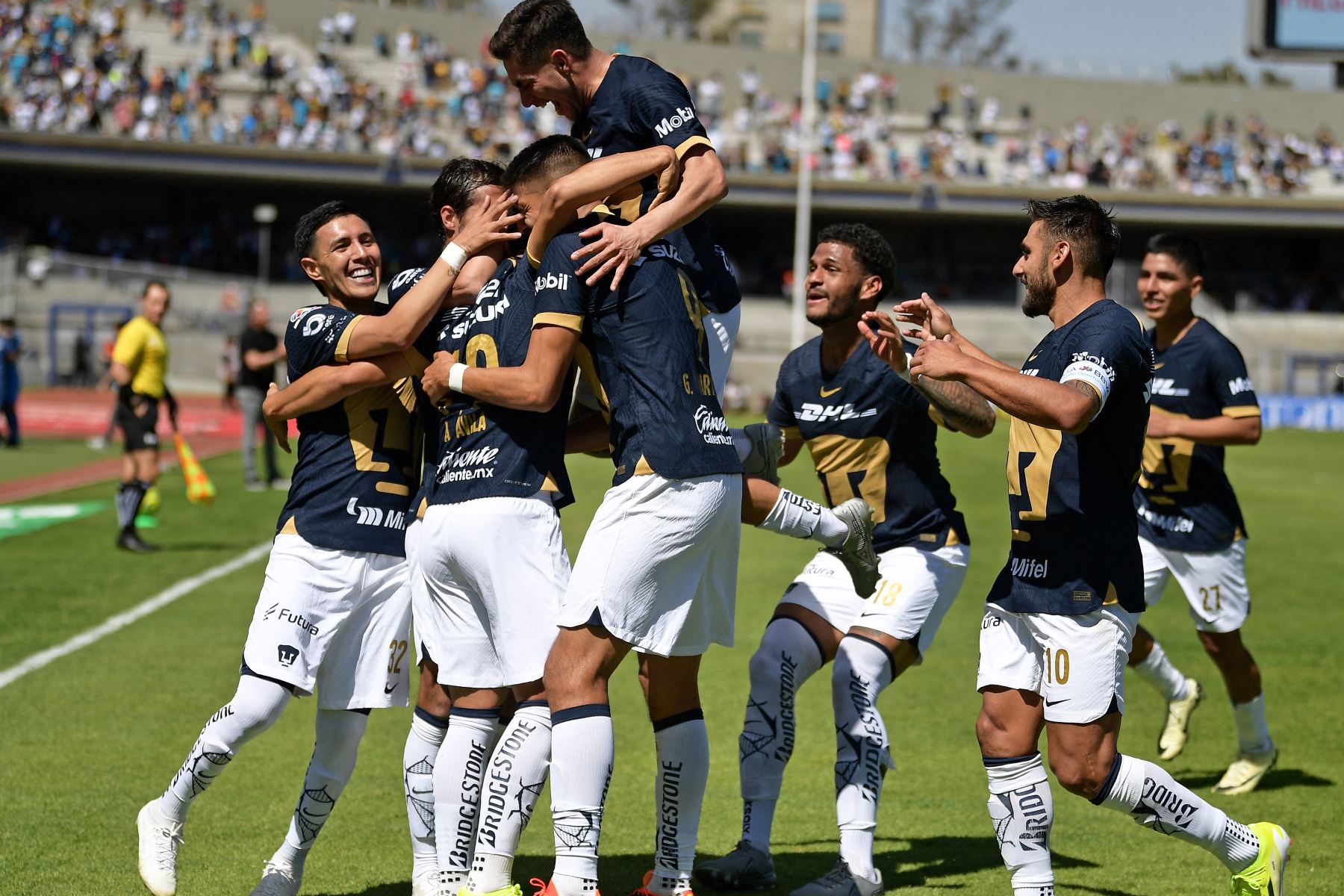 Los jugadores de Pumas celebran después de que Ali Ávila anotara el primer gol durante el partido del torneo Clausura mexicano 2024 contra Puebla en el estadio Olímpico Universitario de la Ciudad de México.
Foto: AFP