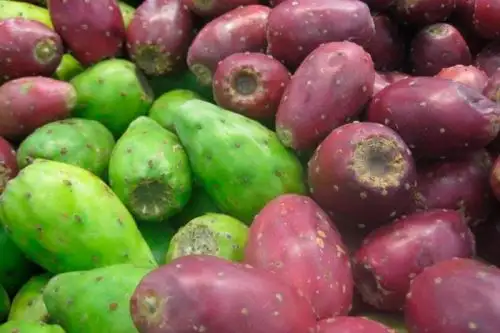 La fruta puede comerse cruda, añadirse a ensaladas, hacerse batidos, mermeladas, jaleas.