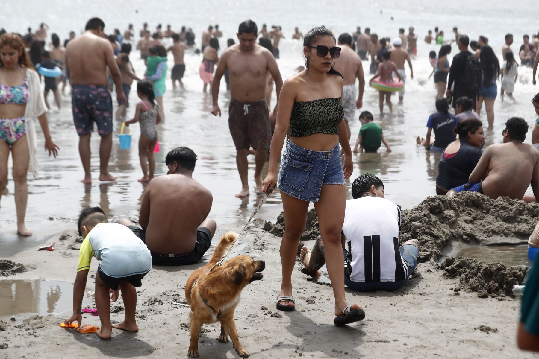 Las mascotas también se hicieron presentes en la playa Agua Dulce de Chorrillos, a donde acudieron miles de bañistas hoy domingo 11 de febrero. Foto: ANDINA/Daniel Bracamonte