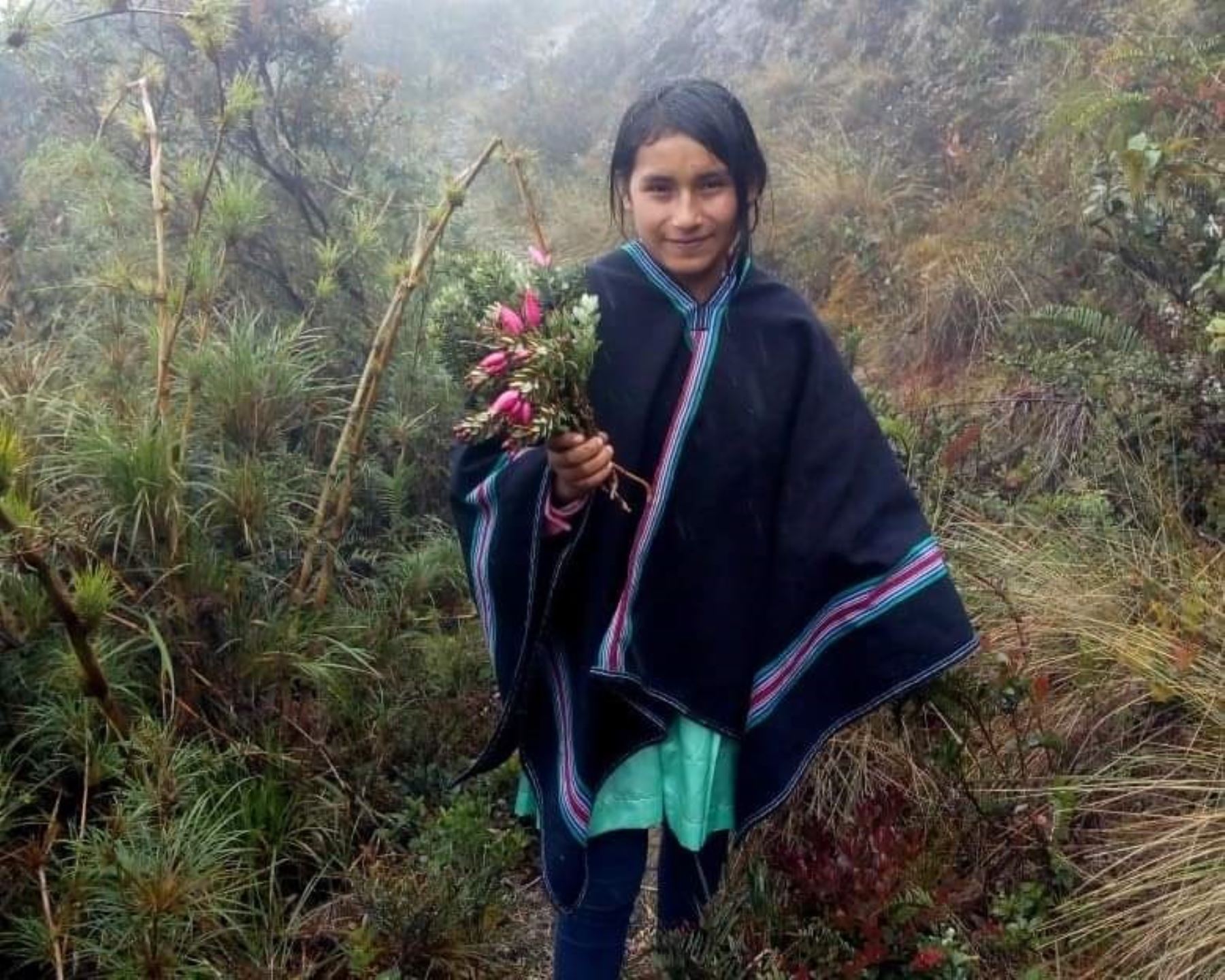Concytec destaca aporte de niñas y adolescentes de la sierra de Piura en la investigación científica de frutas silvestres de páramos y bosques húmedos.