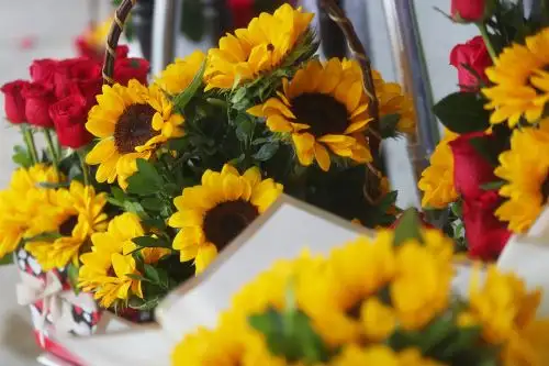 La exportación anual de flores del Perú es de 9 millones de dólares al año. ANDINA/Ricardo Cuba