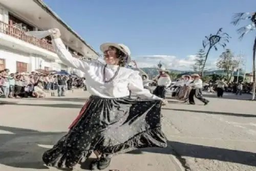 Irma Silva es una docente que ha formado grupos de bailarines y ha representado a Moyobamba en diversos eventos nacionales.