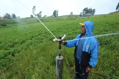 Riego tecnificado.