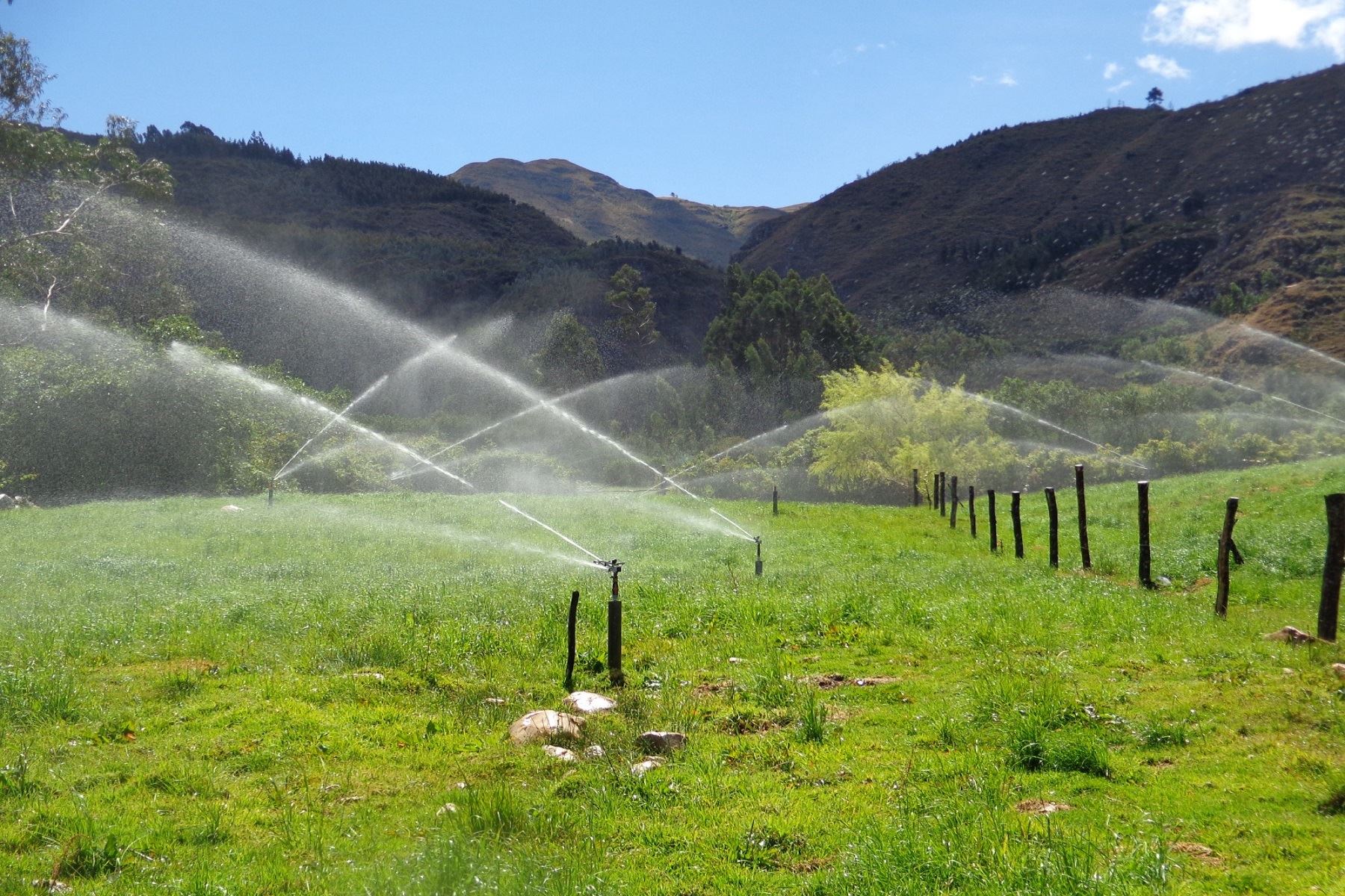 PSI trabaja en la oferta de infraestructura agrícola en beneficio de 650 mil habitantes de Cajamarca. Foto: ANDINA/Difusión