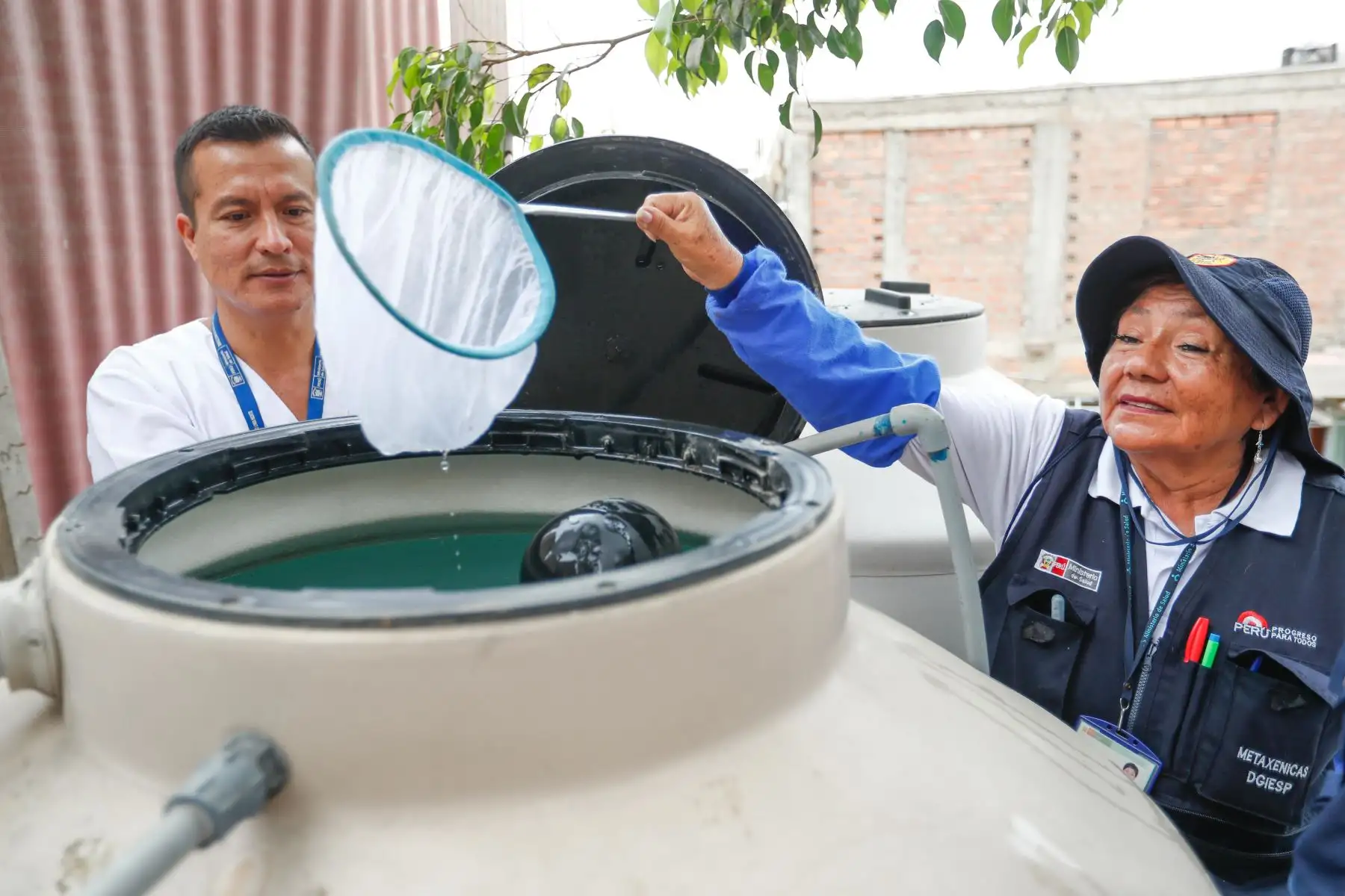 Un equipo de la Dirección de Redes Integradas de Salud (Diris) de Lima Norte realizó una inspección de control larvario en viviendas del distrito de Comas, para identificar y eliminar los criaderos de zancudos que transmiten el dengue, y además brindaron información a los vecinos sobre las medidas de prevención de la enfermedad. Foto: ANDINA/ Daniel Bracamonte