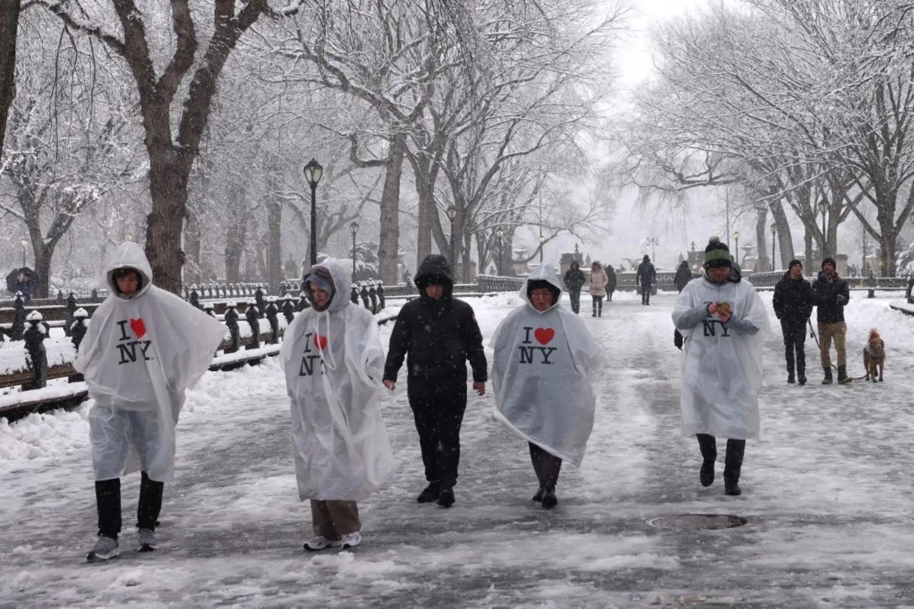 Nueva York y sus alrededores amanecieron este martes cubiertos de nieve, en un temporal que ha provocado el cierre de colegios, oficinas administrativas, tribunales y perturbado los transportes. Foto: AFP