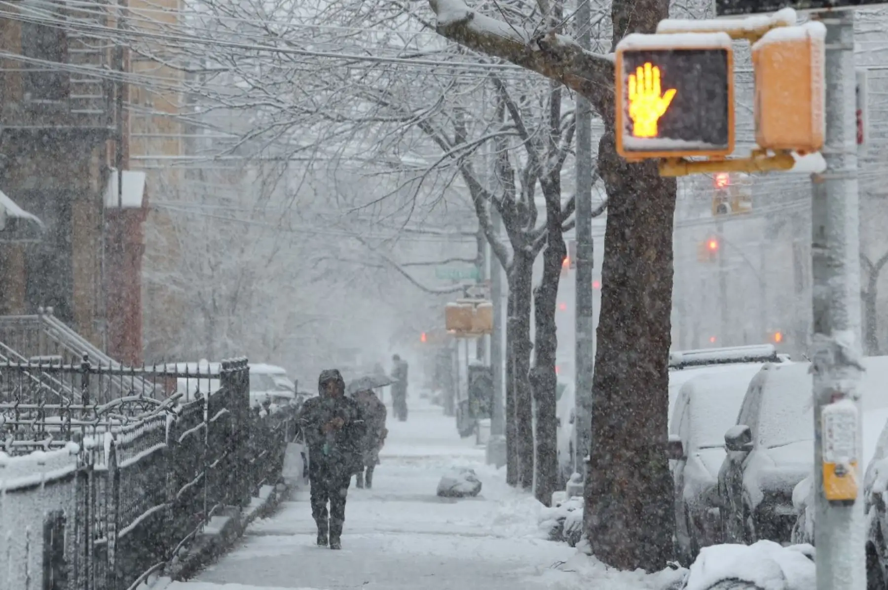 En Nueva York, los jardines y zonas poco transitadas amanecieron con nieve aunque las aceras y calles estaban despejadas, pese a que a lo largo de la mañana nevaba profusamente. Foto: AFP