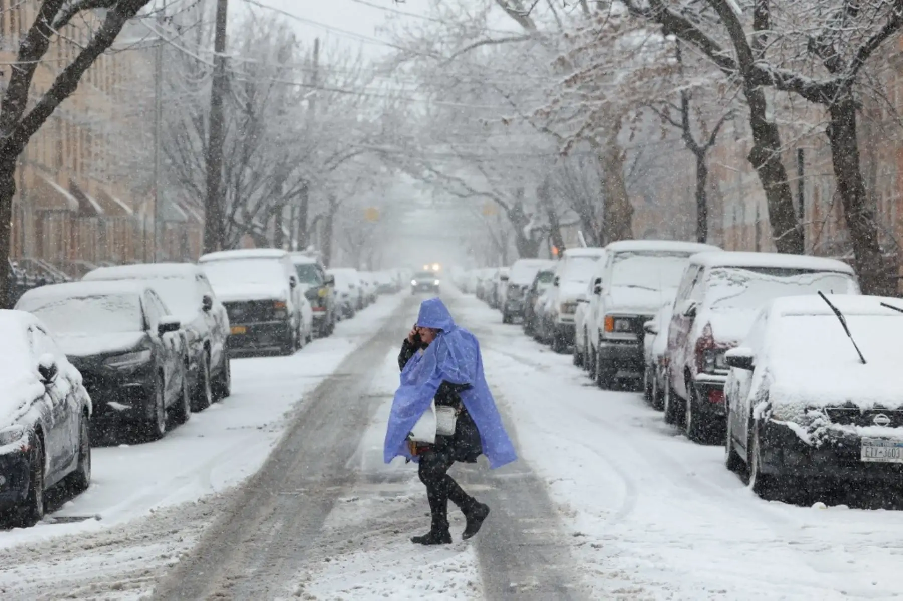 En Nueva York, los jardines y zonas poco transitadas amanecieron con nieve aunque las aceras y calles estaban despejadas, pese a que a lo largo de la mañana nevaba profusamente. Foto: AFP