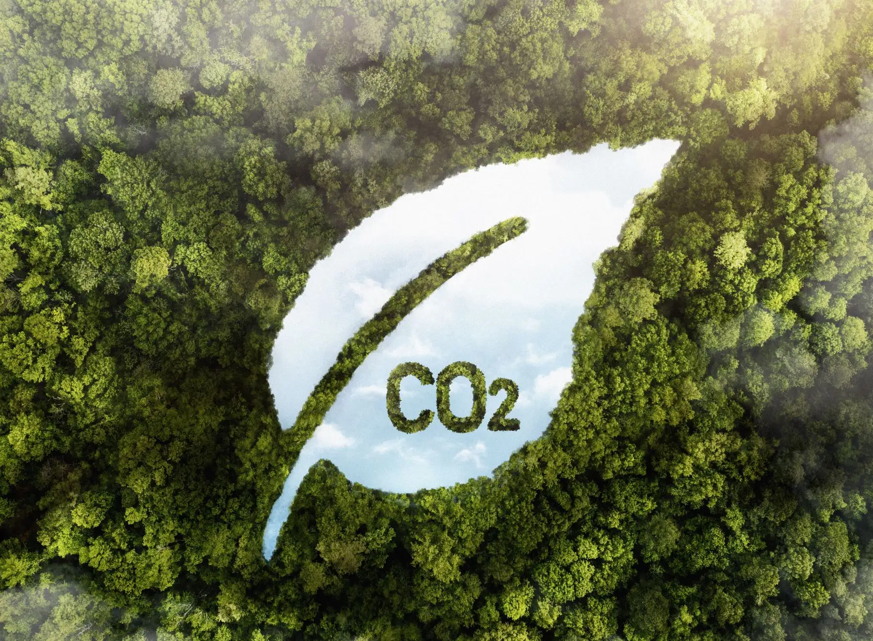 El Estado peruano y varias empresas peruanas están en el camino de reducir la emisión de gases de efecto invernadero y reducir su huella de carbono.