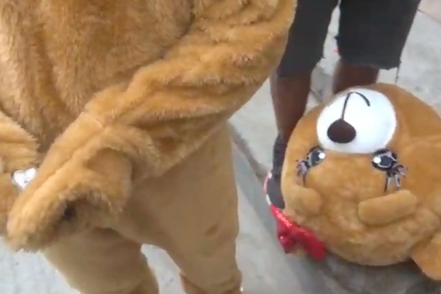 Con el truco de disfrazar a un agente de oso gigante, a modo de regalo de San Valentín, la Policía Nacional de Perú (PNP) logró despistar a una supuesta delincuente que comerciaba con drogas y detenerla, informaron este miércoles fuentes oficiales. Foto: Captura/ Vídeo PNP