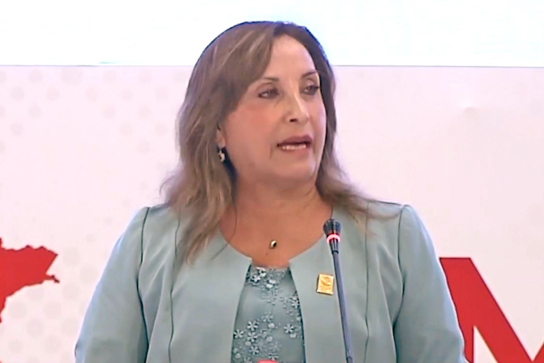 Jefa del Estado Dina Boluarte. Captura TV