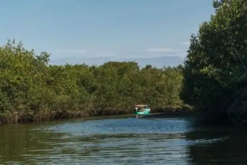 La Reserva de Biósfera Noroeste Amotapes-Manglares fue reconocida por la Unesco, el 19 de marzo del 2016, como una ampliación de la reserva de Biósfera de Noroeste del Perú.