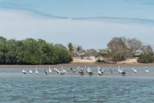 La capacidad hotelera es para más de 8,000 visitantes y el resto llega a casas de playa y Airbnb, estando preparados para dar hospedaje, en total, a 15 mil turistas. ANDINA/Difusión