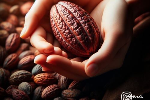 Exportaciones peruanas de cacao, podrían estar en riesgo con el uso del insumo "clorpirifos técnico" en los plaguicidas, por ello la Asociación de Exportadores pide su prohibición. Cortesía